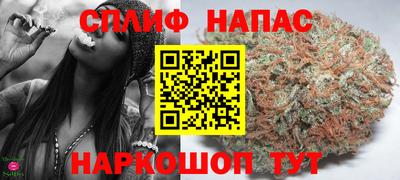 PSILOCYBIN Ставрополь