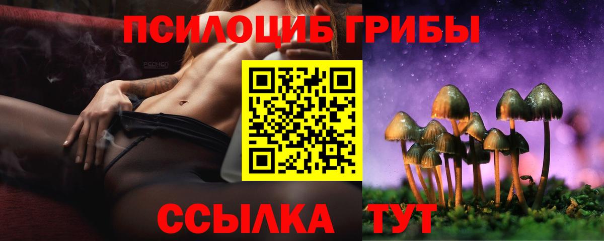 Галлюциногенные грибы Psilocybine cubensis  Вход с VPN  Моздок  Псилоцибиновые грибы ЛСД 