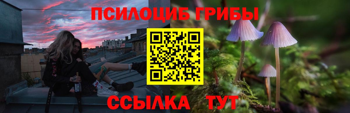 Галлюциногенные грибы MAGIC MUSHROOMS Моздок
